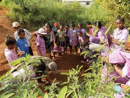 Environmental Projects